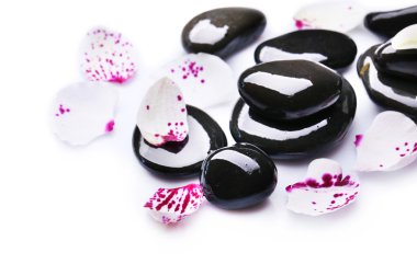 Orkide ve zen taşlar