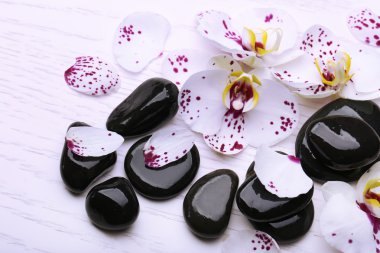 Orkide ve zen taşlar
