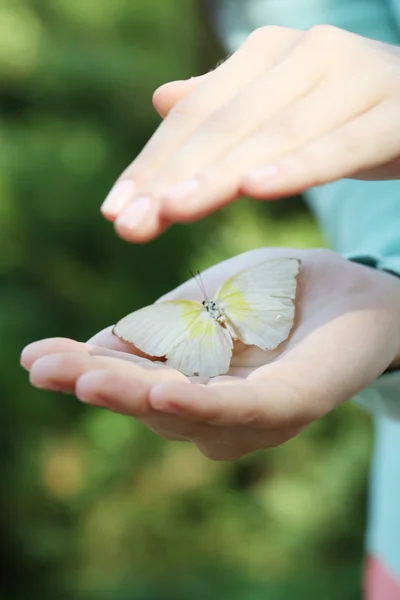 A női kéz pillangó — Stock Fotó