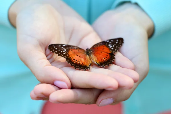 Mariposa en mano femenina — Foto de Stock