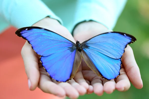 Butterfly in vrouwelijke hand — Stockfoto