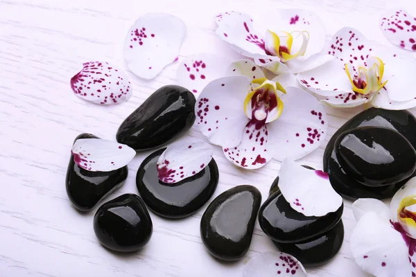 Pedras de orquídea e zen — Fotografia de Stock