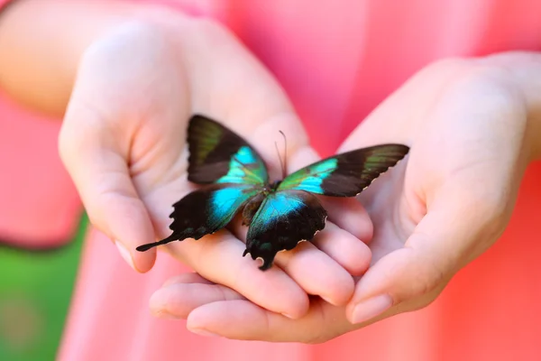 Motyl w ręka — Zdjęcie stockowe