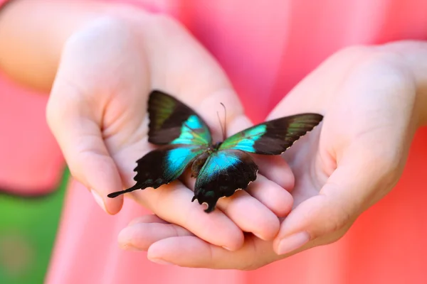 Mariposa en mano femenina — Foto de Stock