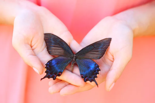 Mariposa en mano femenina — Foto de Stock