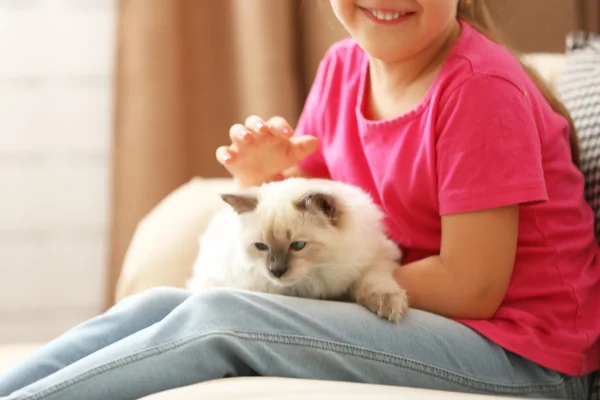 Girl playing with kitten on sofa at home — Stock Photo, Image