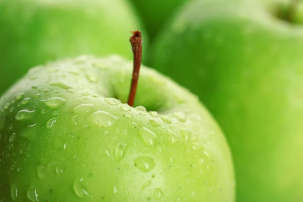 Zralé zelená jablka — Stock fotografie