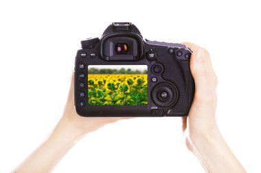Fotoğrafçı ile fotoğraf makinesi üzerinde beyaz izole iş yerinde,