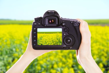 Fotoğrafçı ile iş yerinde fotoğraf makinesi