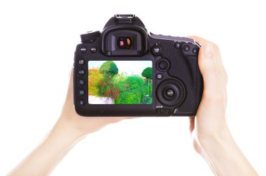 Fotoğrafçı ile fotoğraf makinesi üzerinde beyaz izole iş yerinde,