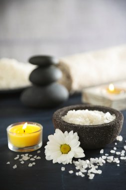 Spa tedavisinin bileşimi