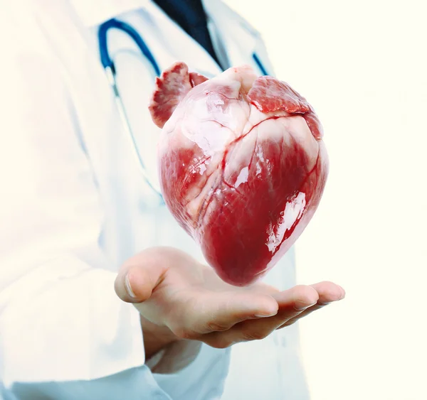 Concept médical. Homme médecin avec le cœur réel dans les mains . — Photo
