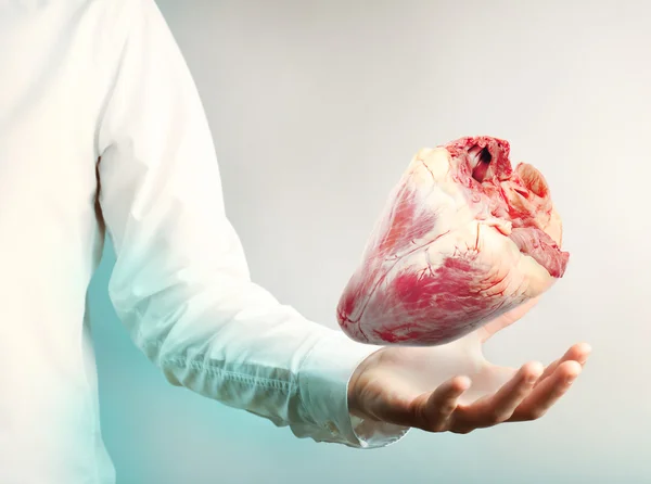 Medizinkonzept. Ärztin mit echtem Herz in der Hand. — Stockfoto