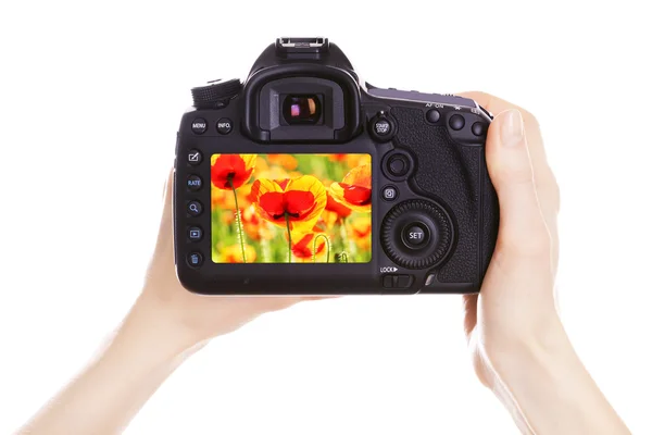 Fotógrafo com câmera no trabalho, isolado em branco — Fotografia de Stock