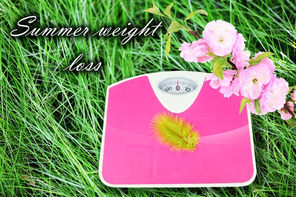 Feather on scales on green grass.  Losing weight for the summer — Stock Photo, Image