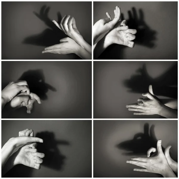 Gesto rukou jako zvířata — Stock fotografie