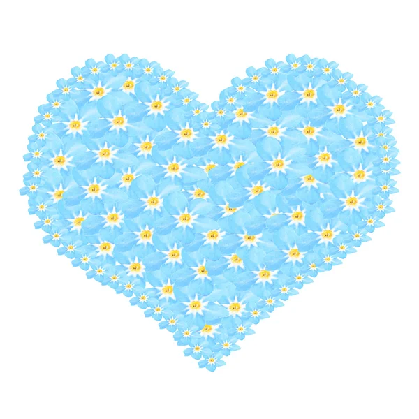 Cuore di fiori di Forget-me-not — Foto Stock