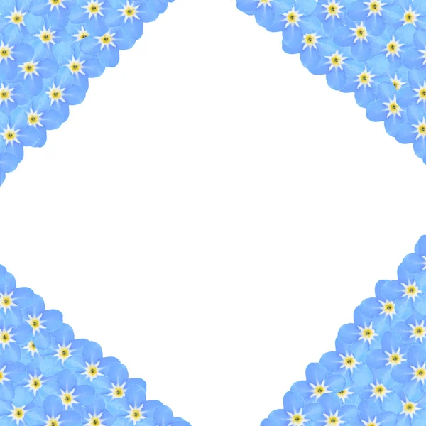 Frame of Forget-me-not flowers