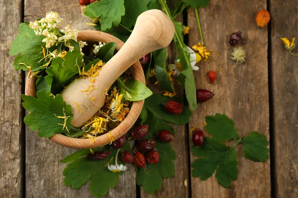 Byliny, plody a květiny s Maltou, na dřevěný stůl pozadí — Stock fotografie