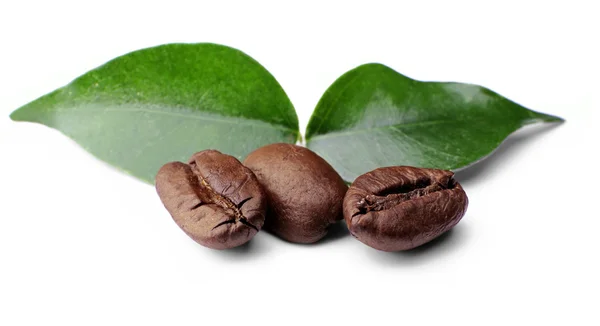 Kaffeebohnen mit Blättern — Stockfoto
