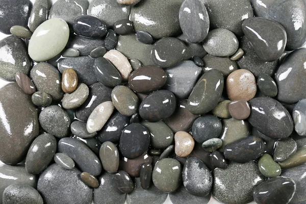 Gray sea pebbles background — Stock Photo, Image