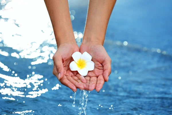 Kvinnliga händer hålla blomma och röra vatten — Stockfoto