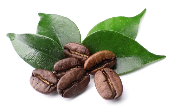 Coffee beans with leaves isolated on white — Stock Photo, Image