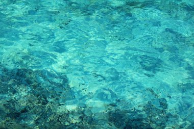 Okyanus suyu arkaplanı