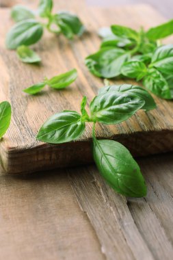 ahşap zemin üzerine yeşil taze fesleğen