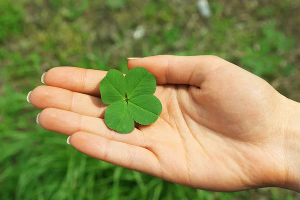 Kvinnlig hand med fyra blad klöver, närbild — Stockfoto