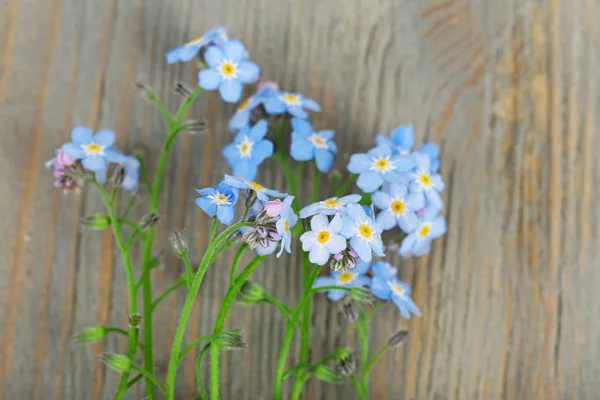 Dimenticate-me-nots fiori su sfondo di legno — Foto Stock