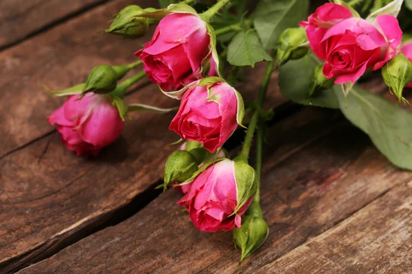 Hermosas rosas pequeñas sobre fondo de madera — Foto de Stock