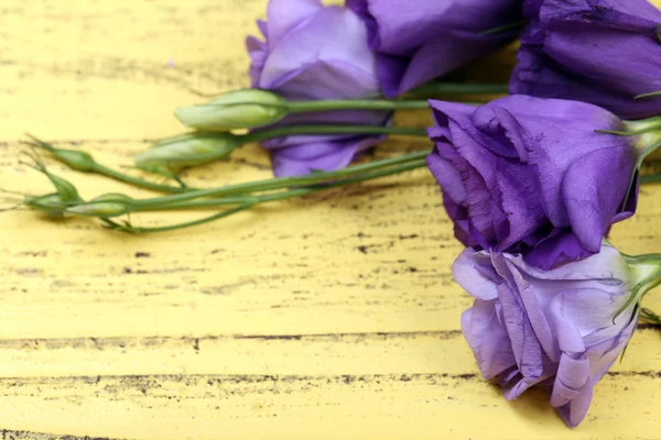 Beautiful eustoma on wooden background — Stock Photo, Image