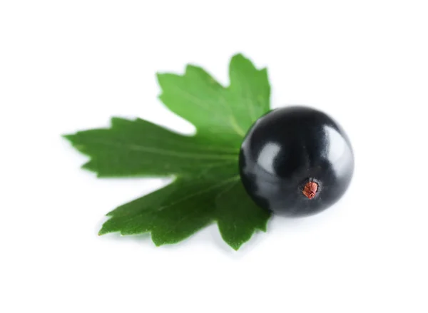 Högen av vilda svarta vinbär med grönt blad isolerad på vit — Stockfoto