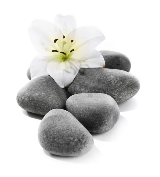 Lily and spa stones isolated on white — Stock Photo, Image