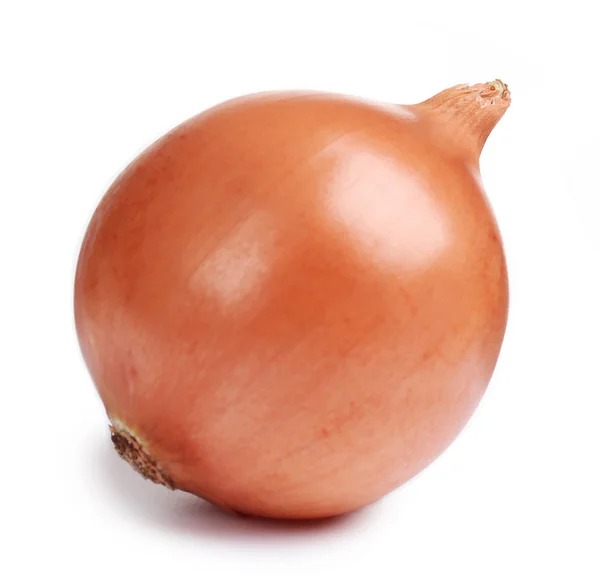 Onion isolated on white — Stock Photo, Image