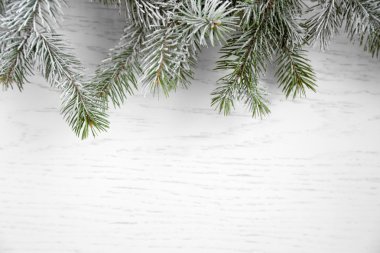 Frost ile Noel ağacı