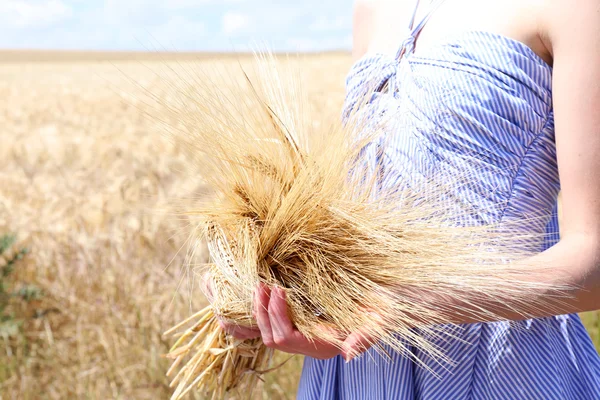 Mujer sosteniendo la gavilla en el campo — Foto de Stock