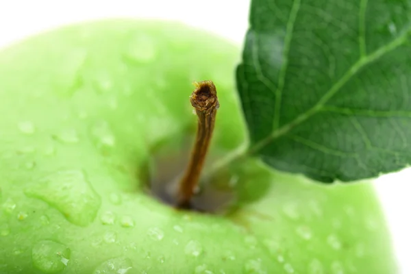 Ripe green apple close up — Stock Photo, Image