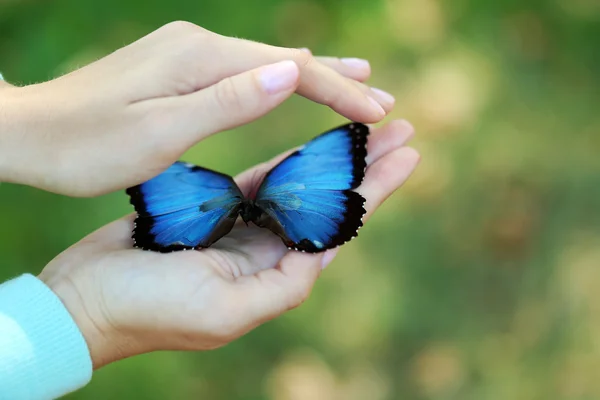 Colorful butterfly in female hand — Stock Photo, Image