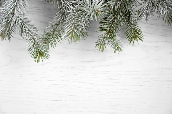 Christmas tree with frost — Stock Photo, Image