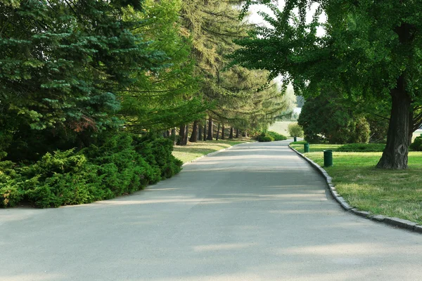 Green city park alley — Stock Photo, Image