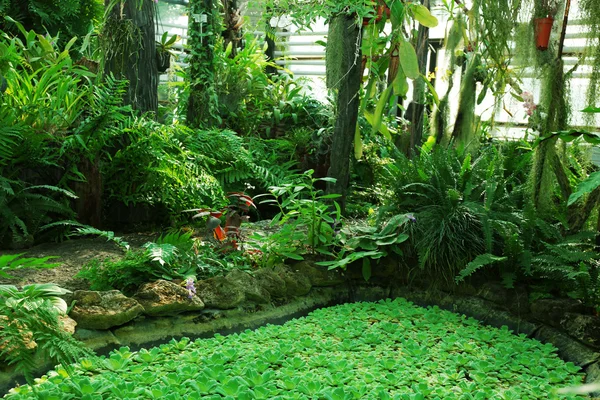 Mesterséges tó és trópusi növények üvegház, botanikus kert — Stock Fotó