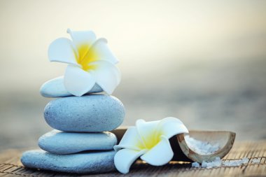 Güzel spa kompozisyonu