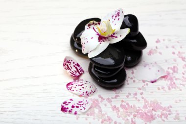 Orkide ve zen taşlar