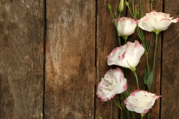 Bellissimo eustoma su sfondo in legno — Foto Stock