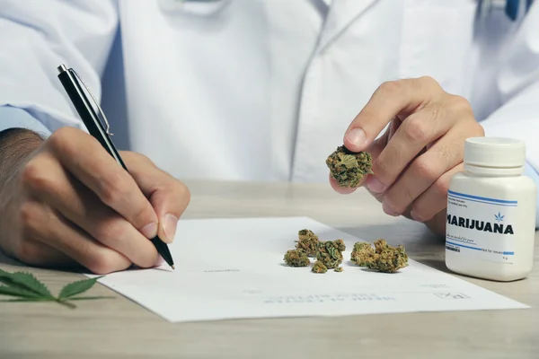 Médico mão segurando cannabis medicinal seca na mesa de perto — Fotografia de Stock