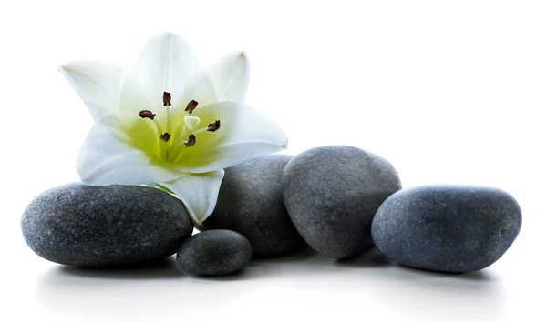 Spa stones with flower isolated on white — Stock Photo, Image