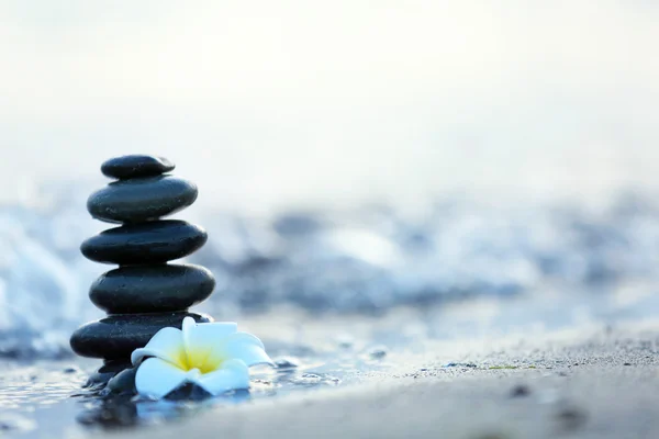 Wellness-Steine mit Blume am Meeresstrand — Stockfoto