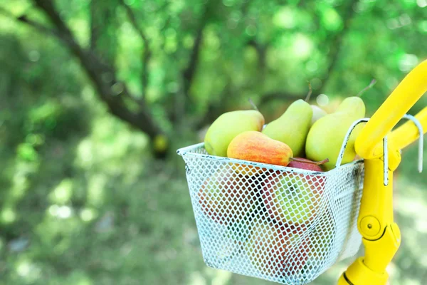 Cesta de frutas jugosas en bicicleta —  Fotos de Stock